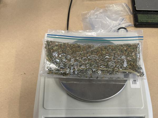 Adolescenți din Noua Zeelandă, prinși cu marijuana și bani donați din greșeală Doi adolescenți din Noua Zeelandă au avut o surpriză neplăcută după ce au donat, fără să vrea, un rucsac plin cu marijuana și bani unei organizații caritabile