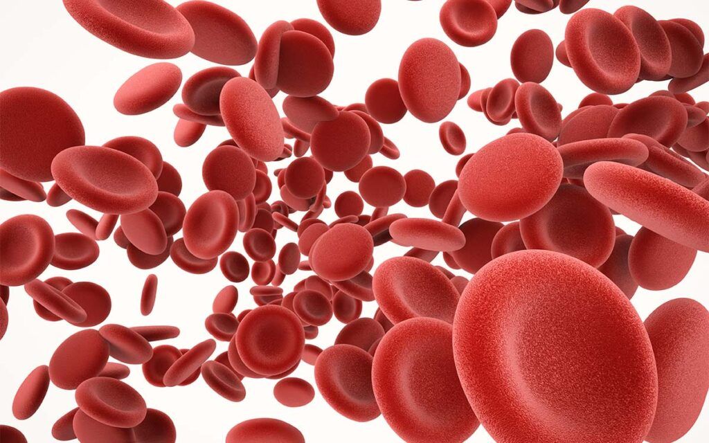 Cheagurile de sânge, o amenințare tăcută: Cum pot fi prevenite prin alimentație Cheagurile de sânge reprezintă o problemă de sănătate gravă, putând conduce la afecțiuni severe precum infarctul miocardic, accidentul vascular cerebral sau embolia pulmonară