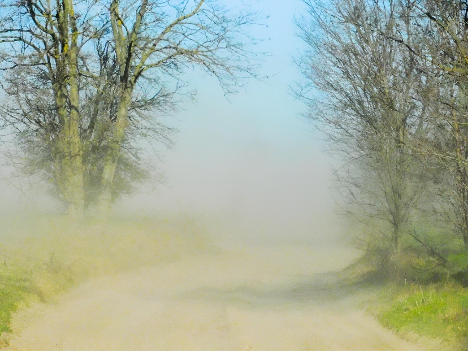 Vânt puternic în sud-vestul și estul țării: ANM emite o informare meteo Administrația Națională de Meteorologie (ANM) a emis o informare meteorologică valabilă începând cu ora 20:00 a zilei de 8 martie și până pe 10 martie