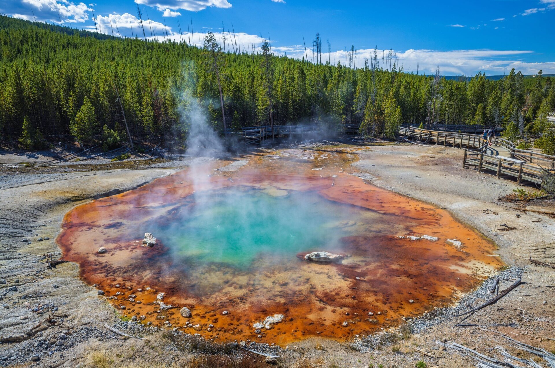Gheizerul Echinus din Yellowstone, „cel mai mare gheizer acid din lume”, a erupt din nou Gheizerul Echinus, situat în Parcul Național Yellowstone din Statele Unite ale Americii, a erupt din nou după o perioadă de peste cinci ani de inactivitate