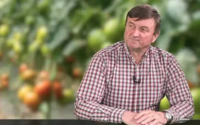 gheorghe-vlad-oipa-legume-fructe-640x360-2.webp.webp - JurnalUrban