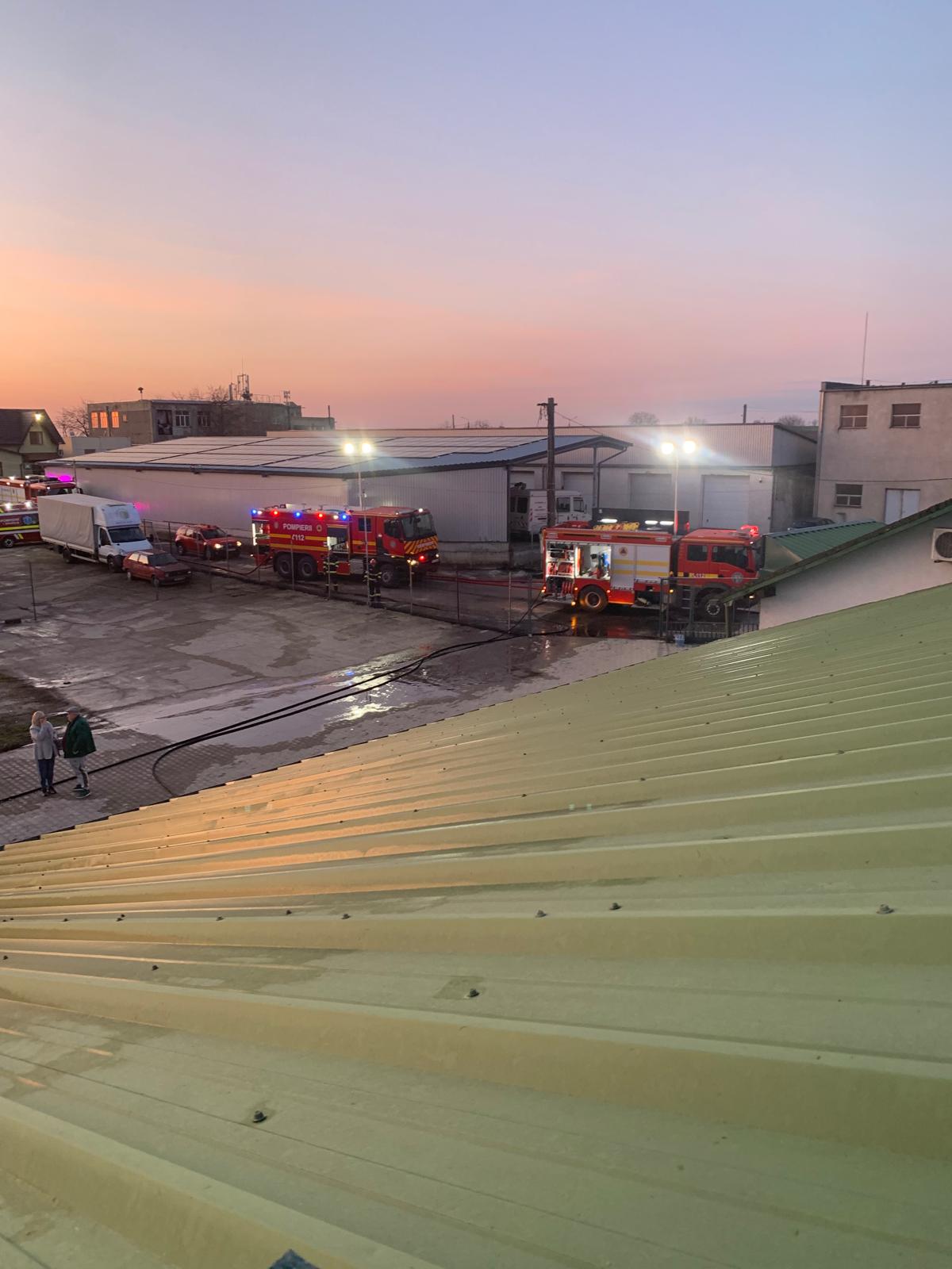 Incendiu puternic la un depozit de lemne din Satu Mare: Pompierii au intervenit rapid Un incendiu de amploare a izbucnit în dimineața zilei de astăzi la un depozit de lemne situat în municipiul Carei, județul Satu Mare
