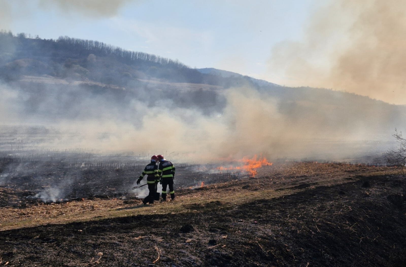 Incendiu major în Maramureș: Flăcările au cuprins zona împădurită de lângă „Două Veverițe” Un incendiu de proporții a izbucnit duminică în apropierea complexului „Două Veverițe” din Lăpușel, județul Maramureș