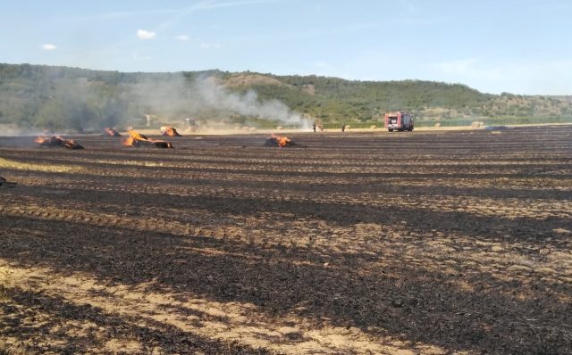 Incendiu de vegetație pe lângă calea ferată: Trenurile au fost oprite preventiv Un incendiu de vegetație uscată izbucnit miercuri în apropierea căii ferate a dus la oprirea preventivă a două trenuri de călători în județul Mureș