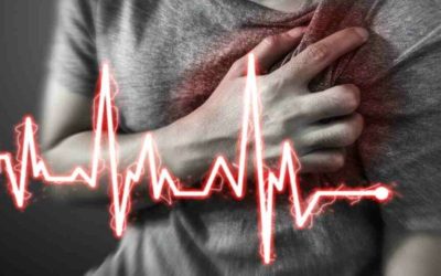 inima-1024x538.jpg - JurnalUrban