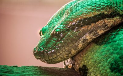 marie-dip-l9CI_At6xus-unsplash.jpg - JurnalUrban