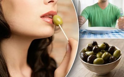 masline1-1024x608.jpg - JurnalUrban