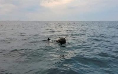 mina-marina-rusia-ministerul-apararii-razboi-ucraina-e1774599734408.jpg - JurnalUrban