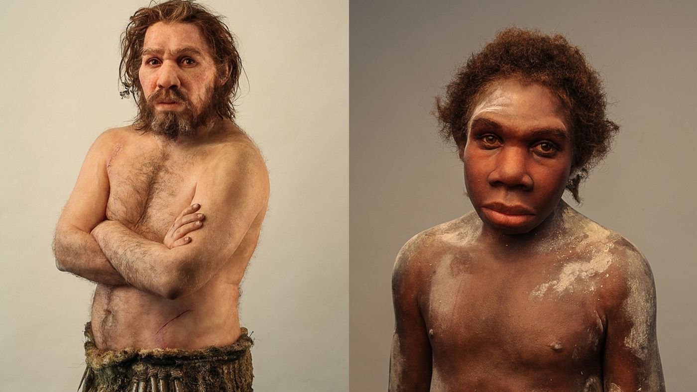 Neanderthalienii, o istorie genetică a supraviețuirii și dispariției Un studiu recent analizează ADN-ul mitocondrial al unor indivizi neanderthalieni descoperiți în diverse situri din Europa, oferind o perspectivă detaliată asupra dinamicii populațiilor acestor hominizi
