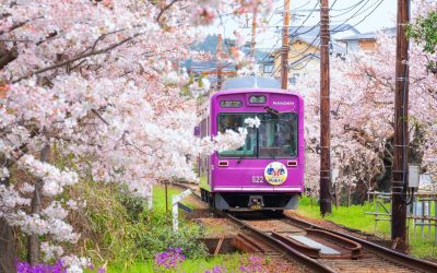 orasul-kyoto-japonia-shutter_descopera-scaled.jpg - JurnalUrban