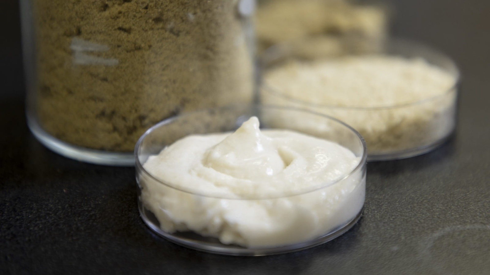Orezul, o sursă de proteine tot mai atractivă pentru industria alimentară, ar putea revoluționa producția de brânză vegană