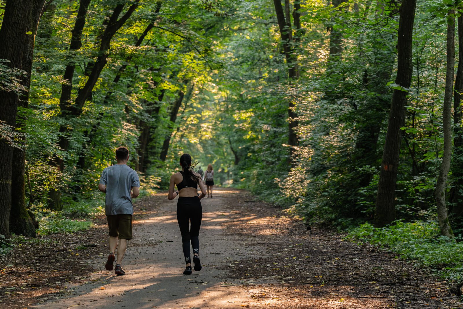 Pădurea Băneasa, în pericol: Un studiu propune transformarea într-un parc natural protejat Un studiu realizat de Asociația Parcul Natural București (APNB) în martie 2026 propune transformarea Pădurii Băneasa într-un parc natural protejat