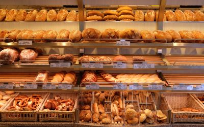 paine-e1693514795355.jpg - JurnalUrban