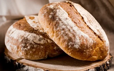 paine.webp.webp - JurnalUrban