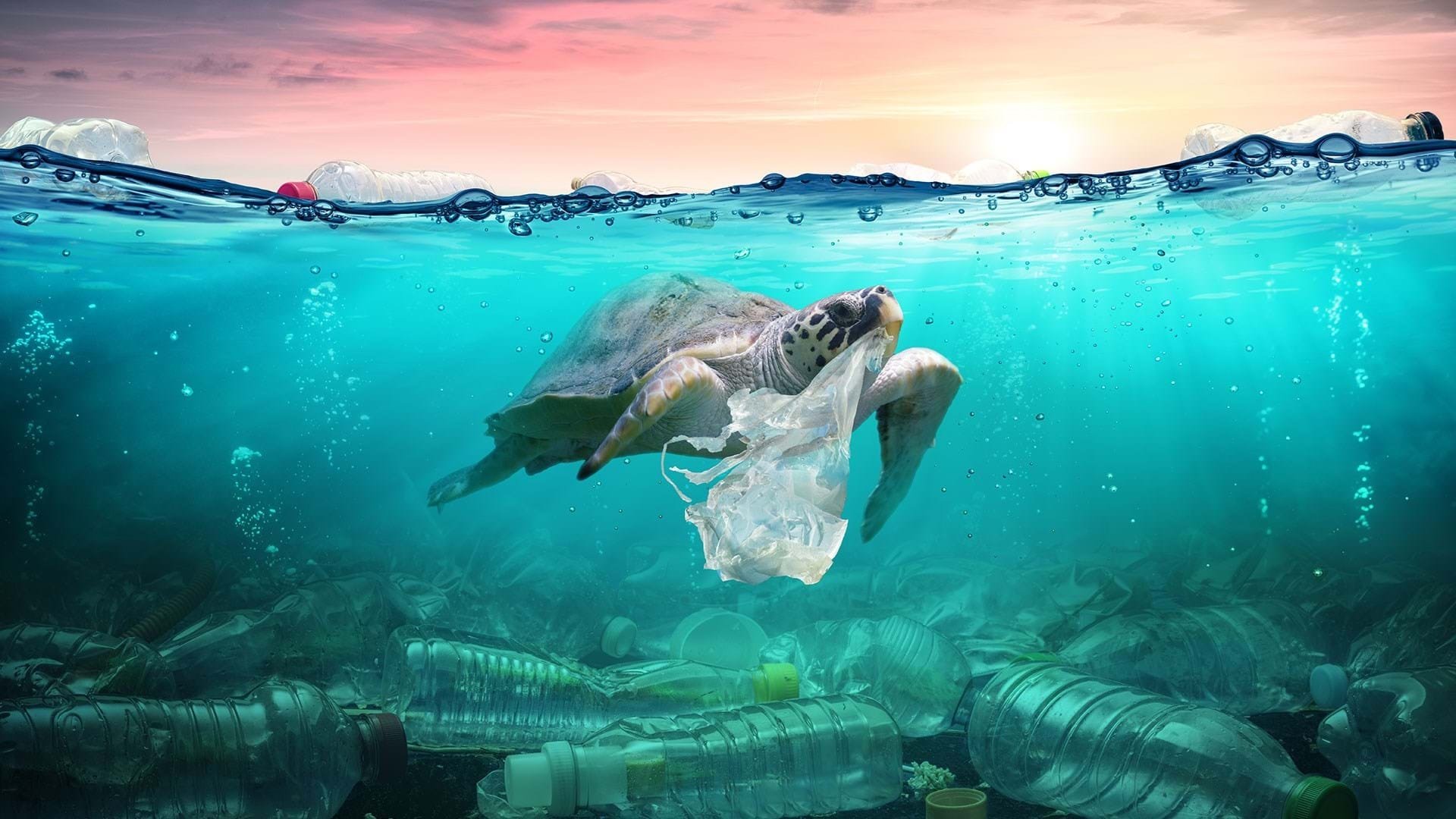 Oceanul, mai poluat decât credeam: estimări alarmante despre nanoplastice Un studiu recent, realizat de cercetători de la Royal Netherlands Institute for Sea Research, arată că oceanele lumii sunt contaminate de cantități estimate la 27 de milioane de tone de nanoplastice