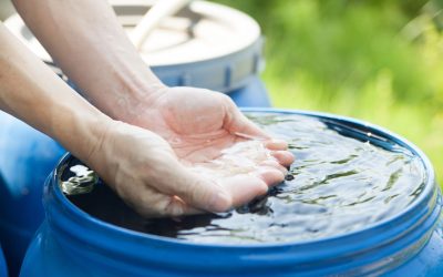 ploaie-este-buna-de-baut_shutterstock_descopera-10.jpg - JurnalUrban