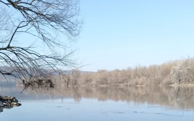 Campanie de falsuri despre poluarea nistrului, care scuză rusia după bombardament