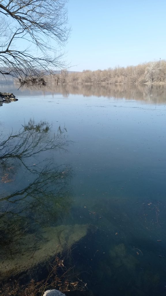 România a intervenit cu sprijin pentru Republica Moldova, în urma poluării grave a râului Nistru, arată un comunicat al Administrației Naționale Apele Române (ANAR)