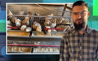 Preotul Ionuț Boer, fermier: Prepelițe pentru hrana sănătoasă a copiilor