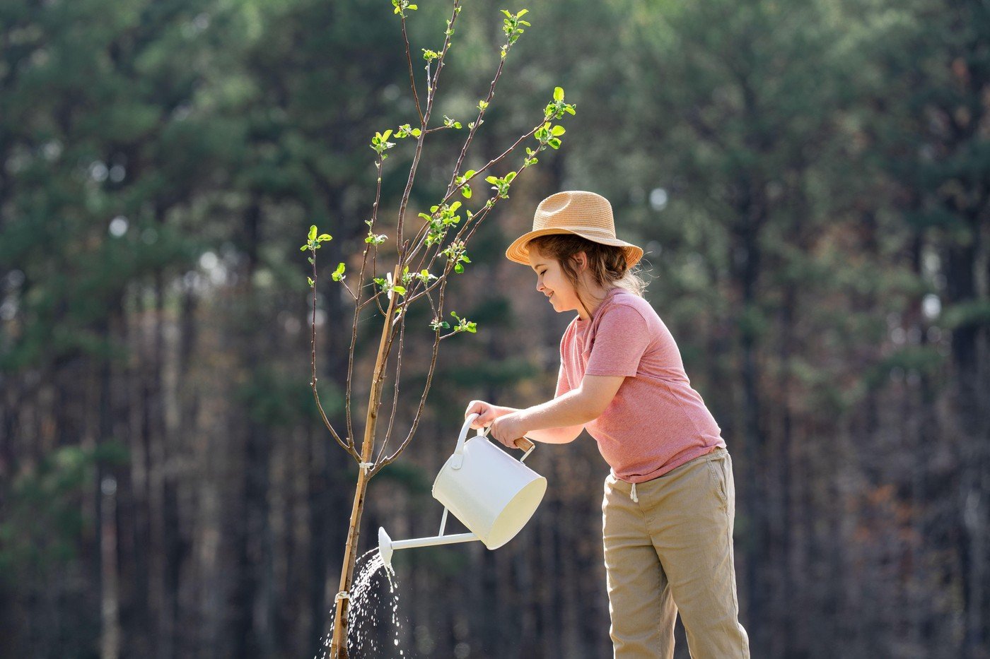 Martie: Luna ideală pentru plantarea pomilor fructiferi și a arborilor ornamentali Începutul lunii martie reprezintă un moment propice pentru plantarea pomilor fructiferi și a unor specii de arbori ornamentali