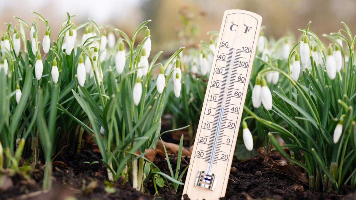 Vremea se schimbă la București: temperaturi peste medie și cer senin în următoarele zile Bucureștenii se pot aștepta la o schimbare a vremii în zilele următoare