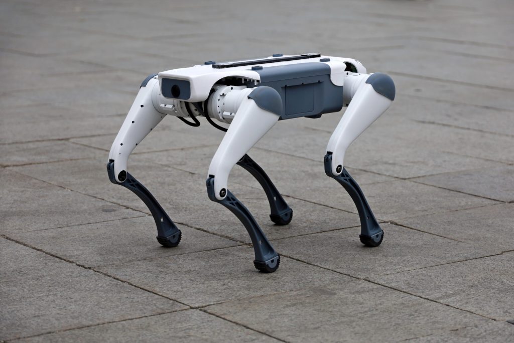 Roboți patrulând pentru curățenie: Târgu Mureș introduce câini-roboți pe străzi Într-o premieră pentru România, orașul Târgu Mureș testează un program pilot de salubrizare care implică roboți umanoizi și patrupezi