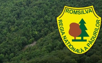 romsilva-43567785643.jpg - JurnalUrban