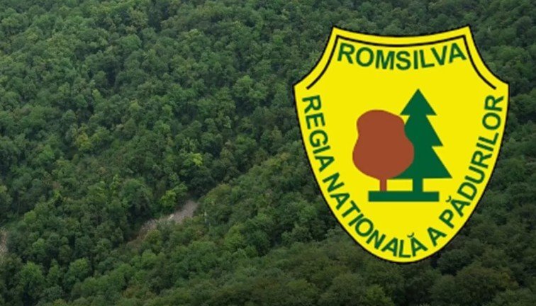 Reorganizarea Romsilva: Reduceri de posturi și schimbări în conducere Guvernul a aprobat joi, în ședință, reorganizarea Regiei Naționale a Pădurilor – Romsilva, un demers inițiat de Ministerul Mediului, Apelor și Pădurilor