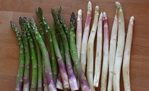 Revolta bucătarilor italieni: Sparanghelul, sabotat de sezonul timpuriu Un conflict neașteptat a izbucnit în nordul Italiei, unde 25 de proprietari de restaurante din zona Bassano, renumită pentru sparanghelul său, și-au exprimat public nemulțumirea față de includerea acestui produs culinar în meniuri cu mult înainte de începerea sezonului tradițional