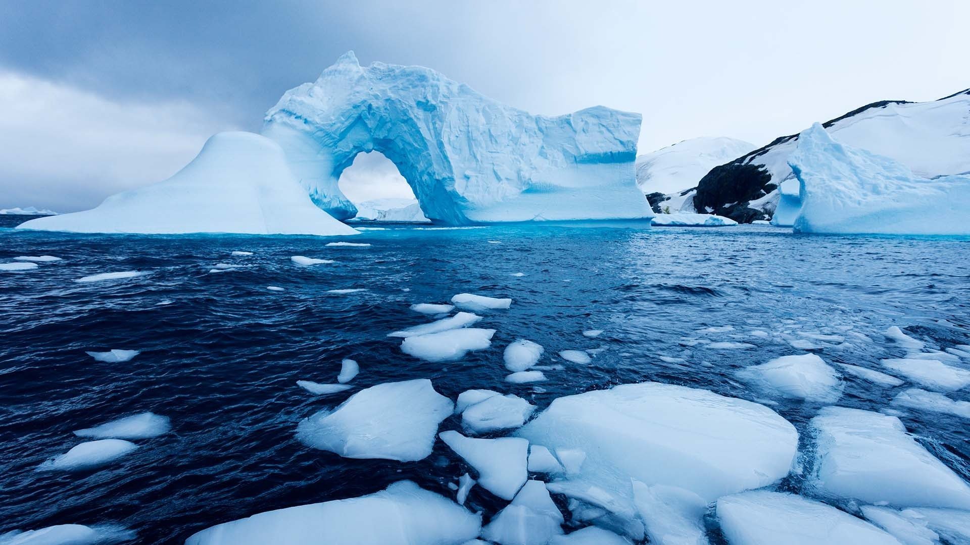 O capsulă a timpului înghețată: cercetătorii descoperă gheață antică în Alaska O echipă de cercetători a făcut o descoperire remarcabilă pe coasta Alaskăi: blocuri masive de gheață veche, ieșite din pereții de sol înghețat