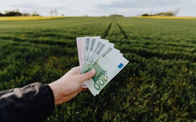 subventie-fermieri-bani-APIA-agricultura-scaled-e1723118106611.jpg - JurnalUrban