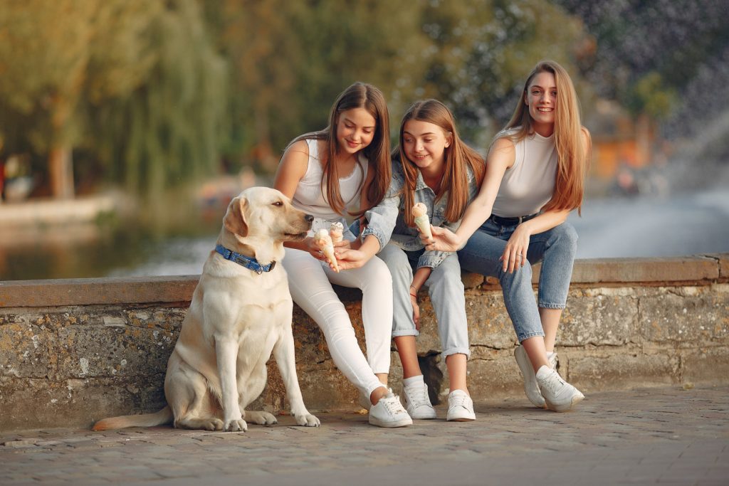 Mai mulți bărbați decât femei în unele județe din România, chiar și în Iași, în prag de 8 Martie În timp ce țara se pregătește pentru sărbătoarea de 8 Martie, cu flori și magazine pline, datele demografice arată o realitate surprinzătoare: în unele județe din România, numărul bărbaților îl depășește pe cel al femeilor