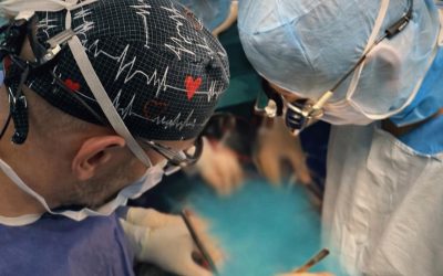 transplant-cord.jpg - JurnalUrban