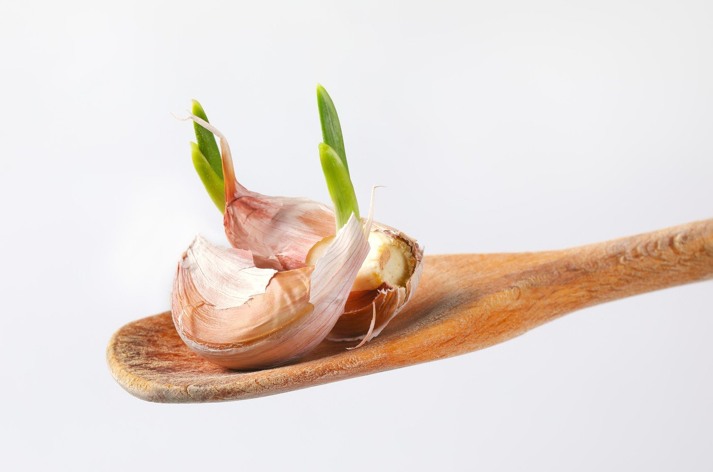 Usturoiul încolțit: De ce apare și dacă este sigur de mâncat Usturoiul, ingredient nelipsit din bucătăria românească, poate începe să încolțească, un proces natural care ridică întrebări privind siguranța consumului