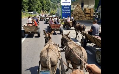 Video ai: Transportul pe valea oltului, între măgari, fân și motorină scumpă