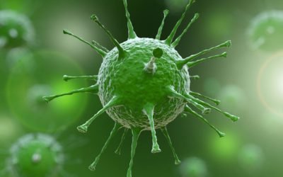 virus-gripa-shutterstock1-1-1024x768.jpg - JurnalUrban