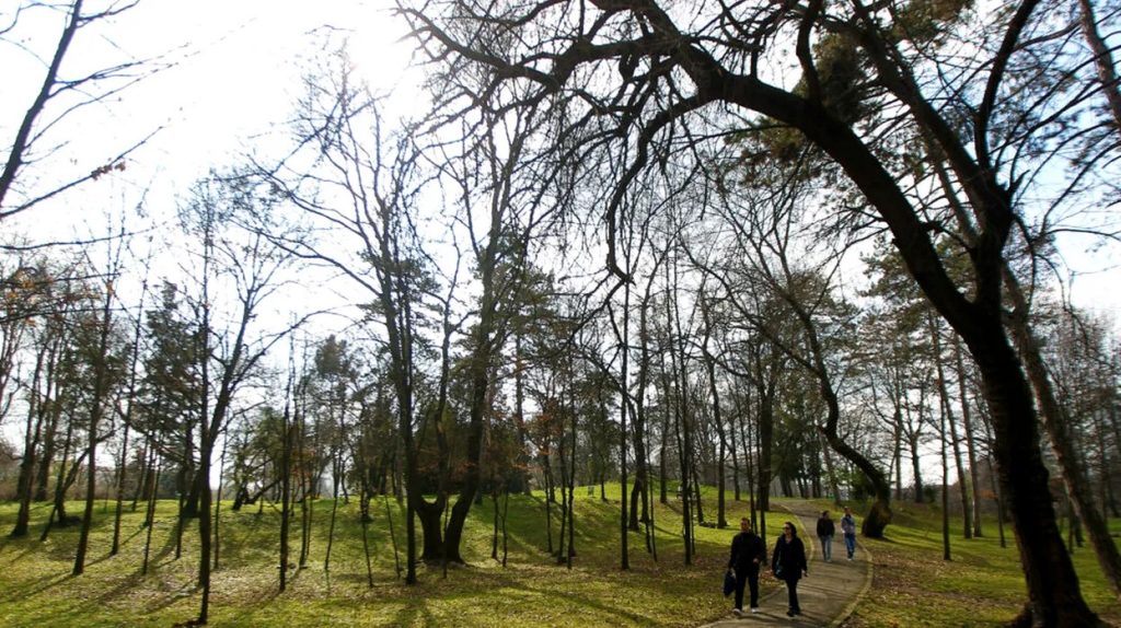 Vreme caldă, anunță ANM, până la sfârșitul lunii martie