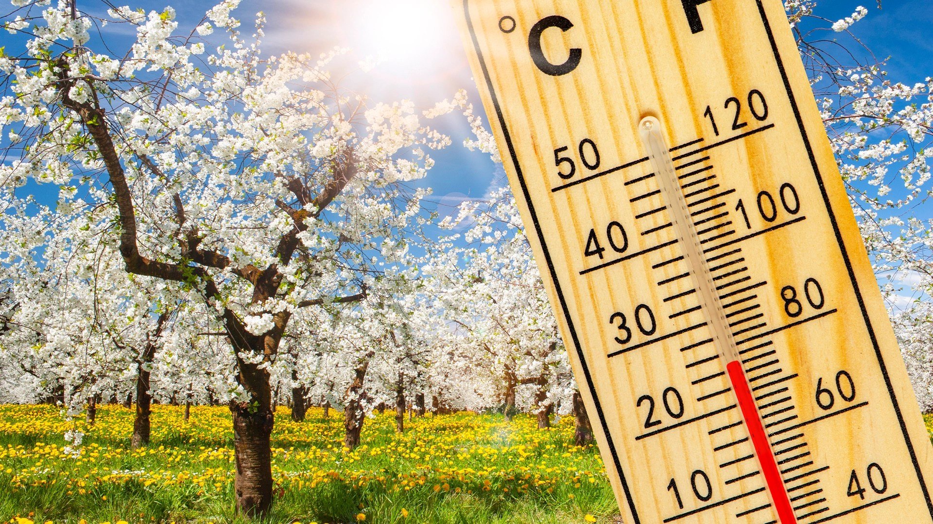 Vremea de Paște: Prognoza meteo anunță o sărbătoare cu schimbări bruște Bucureștenii, dar și locuitorii din celelalte regiuni ale țării, trebuie să se pregătească pentru o perioadă de Paște cu vreme capricioasă
