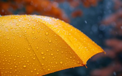 Prognoza meteo pentru următoarele patru săptămâni. Cum va fi vremea până la final de aprilie