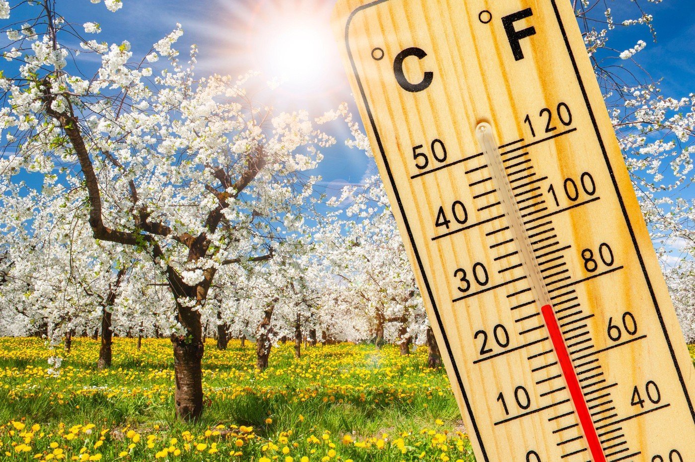 Martie 2026: Vremea se încăpățânează să nu aducă temperaturi de vară Primăvara calendaristică a sosit, dar temperaturile din luna martie 2026 vor rămâne, în general, moderate în cea mai mare parte a țării
