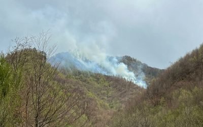 whatsapp-image-2025-04-18-at-14-22-19-e1745051445310.jpeg - JurnalUrban