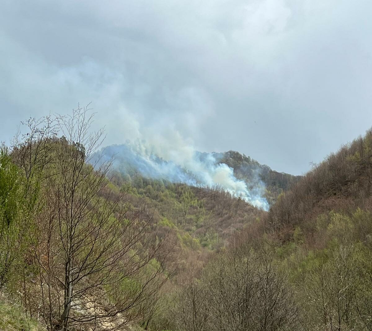 Incendiu de vegetație în apropierea complexului „Două Veverițe” din Maramureș: Pompierii lucrează la stingerea focului Un incendiu de vegetație uscată și litieră a izbucnit în zona împădurită din apropierea complexului „Două Veverițe” din localitatea Lăpușel, județul Maramureș