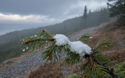 Megérkezett a havazás Magyarországra: kiadták a riasztásokat az ítéletidő miatt