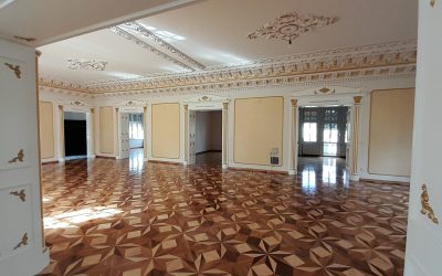 Cum arată PALATUL recuperat de Primăria Timișoara: Loga 52, retrocedare ilegală