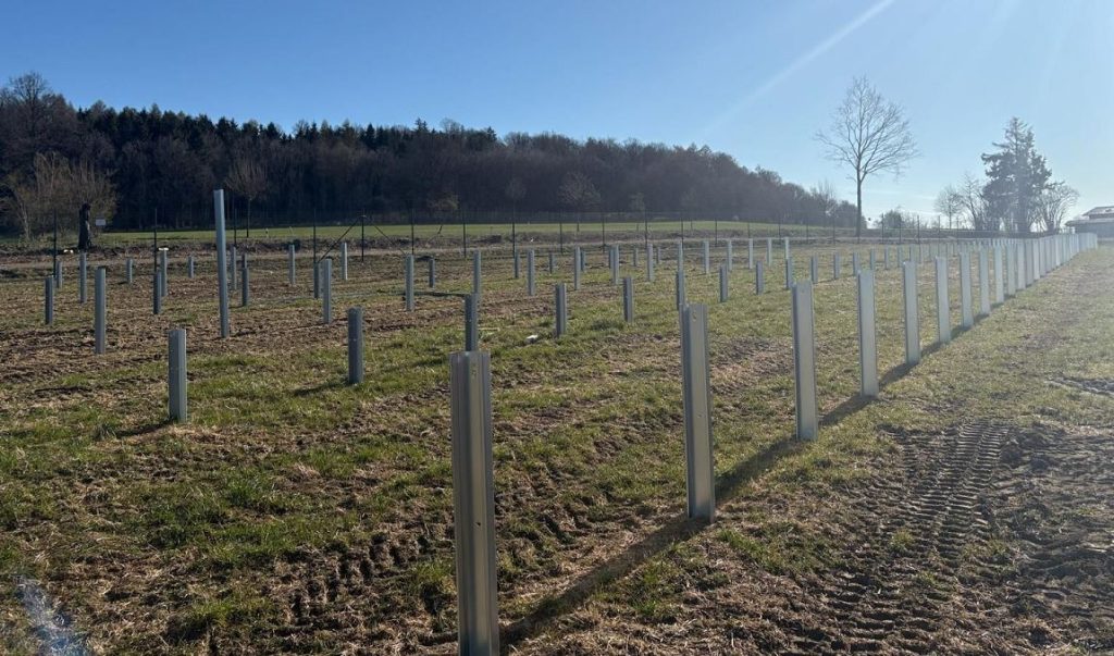 Băieții deștepți” din energie, pe OLX: Proiecte MW blochează rețeaua. Bolojan, dezvăluiri