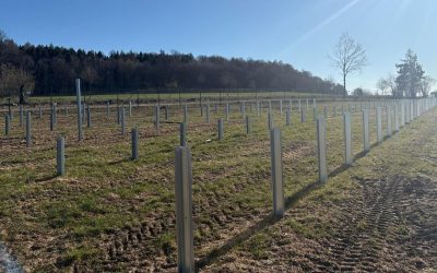 Băieții deștepți” din energie, pe OLX: Proiecte MW blochează rețeaua. Bolojan, dezvăluiri