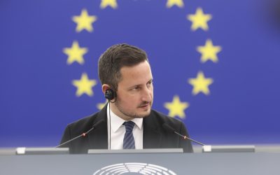 Ștefănuță cere „moment Ungaria” pentru România: Parlamentul, „ras”
