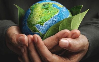 Ziua Pământului: Apel PENTRU un stil de viață sustenabil, în România