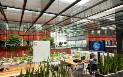 FDA autorizează IQOS ca produs cu risc modificat: Decizie istorică