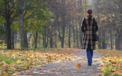 Triajul Brașov revine la viață: Rampa de deșeuri, transformată în parc verde